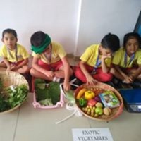 Vegetable Day At Senior K.G